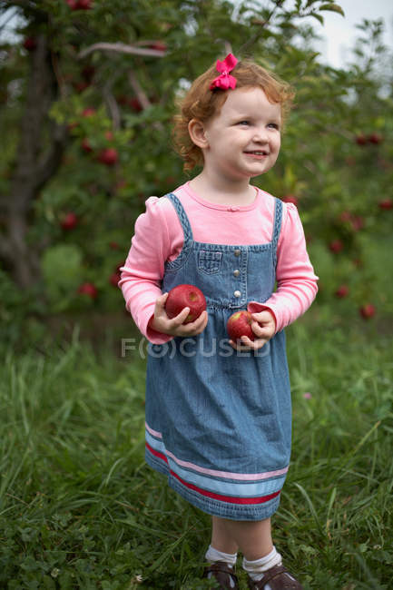Chica de pie en huerto sosteniendo manzanas - foto de stock
