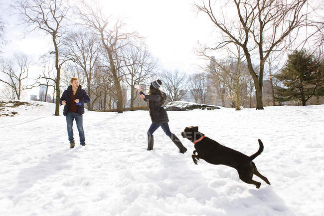 Parejas jóvenes jugando con el perro en snowy Central Park, Nueva York, Estados Unidos - foto de stock