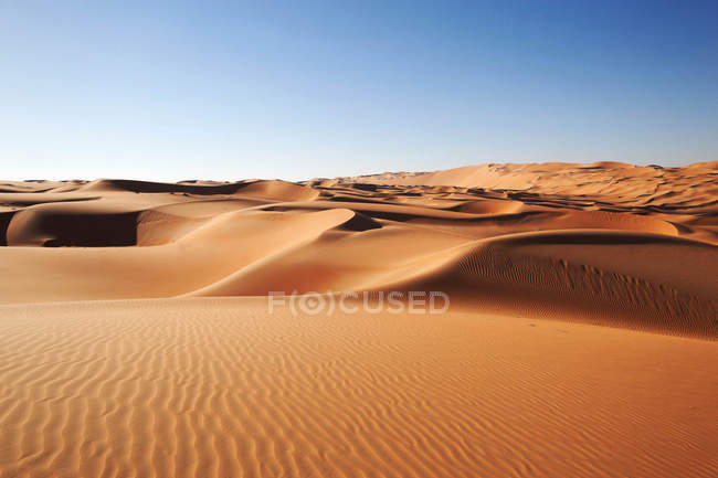 Dune di sabbia del deserto sotto il cielo blu — Foto stock