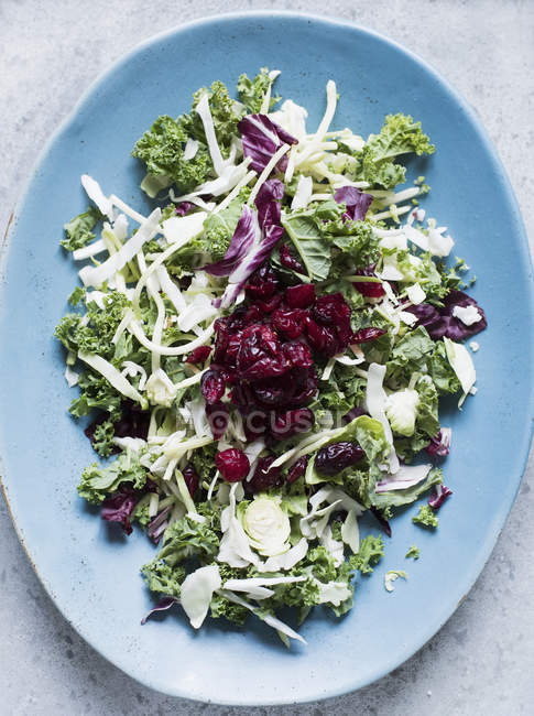 Vista superior de las hojas de ensalada en el plato de servir de color azul - foto de stock