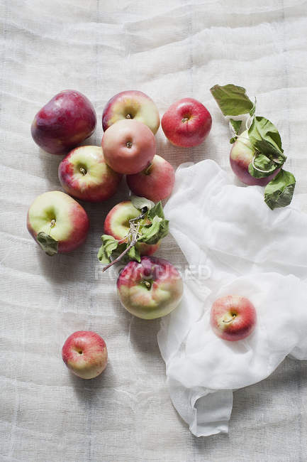 Maçãs frescas na toalha de mesa branca — Fotografia de Stock