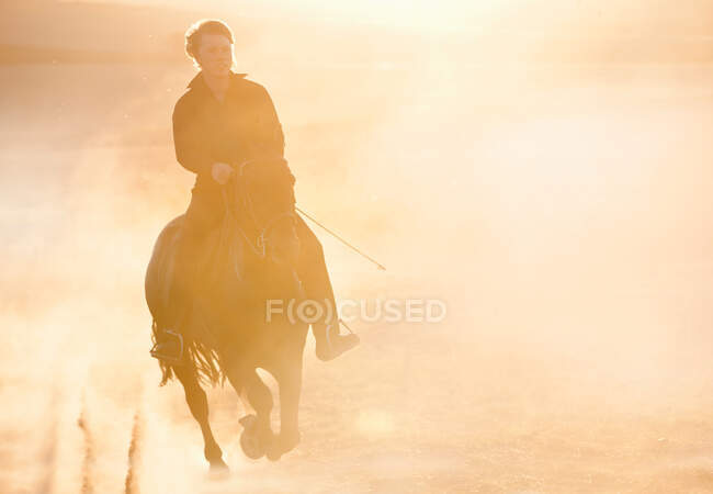 Silhouette of man riding horse in field — Stock Photo