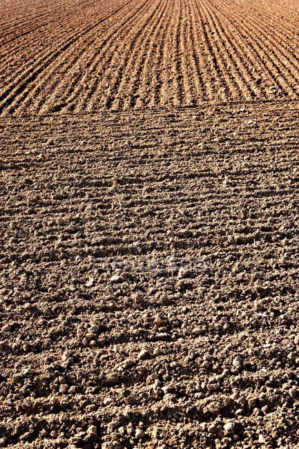 Campos arados, bandas en el suelo en la granja - foto de stock