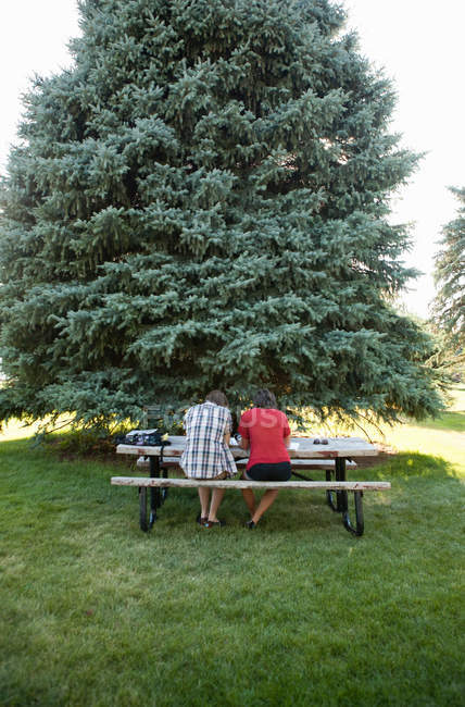Teenage couple studying on picnic table in park, rear view — Stock Photo