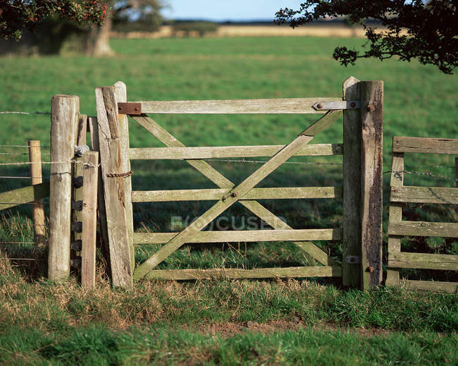 Wooden gate at green field in sunlight — Stock Photo