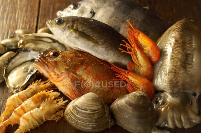 Natura morta con selezione di frutti di mare esotici in tavola — Foto stock