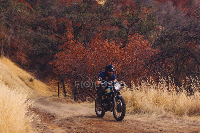 Hombre montando moto, Parque Nacional Sequoia, California, EE.UU. - foto de stock