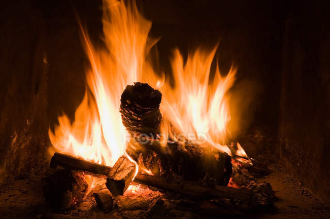 Logs burning in open fire — Stock Photo