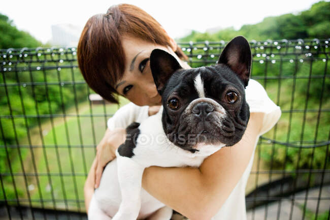Mujer con mascota bulldog francés - foto de stock