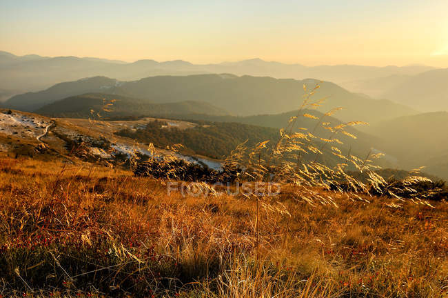 Zona de montaña Sheshul - foto de stock