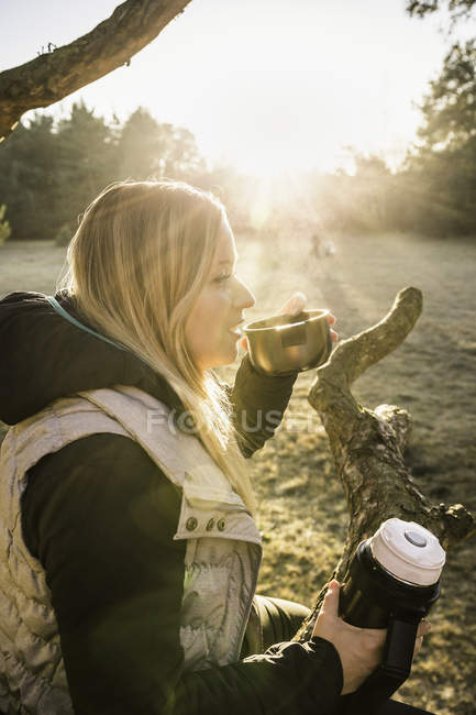 Жінка розслабляє і пити каву верхівка дерева, Аугсбурга, Баварія, Німеччина — стокове фото