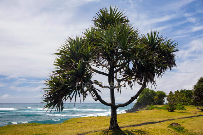Paysage côtier et océan Indien, Ile de la Réunion — Photo de stock