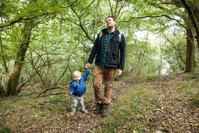 Padre e hijo caminando por el bosque, tomados de la mano - foto de stock