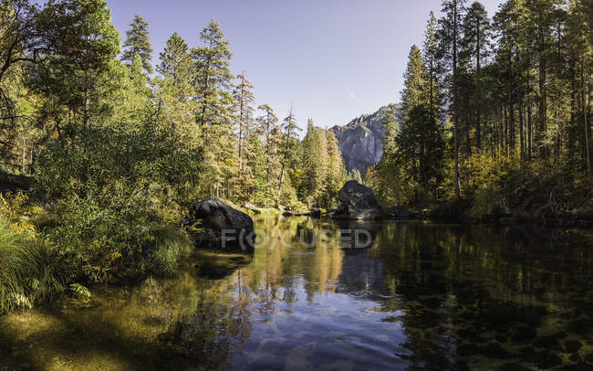 Vista paisagem com rio da floresta, Parque Nacional de Yosemite, Califórnia, EUA — Fotografia de Stock