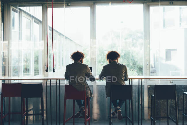 Вид сзади на близнецов-хипстеров, работающих за рабочим столом — стоковое фото