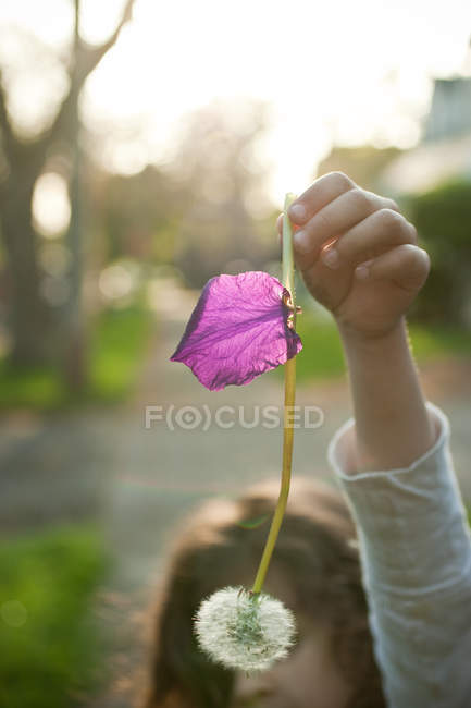 Girl holding dandelion clock — Stock Photo