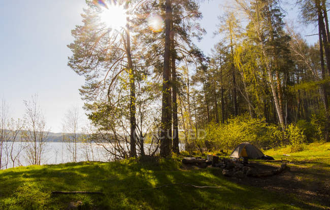 Вид на захід сонця над озером і лісом вдень — стокове фото