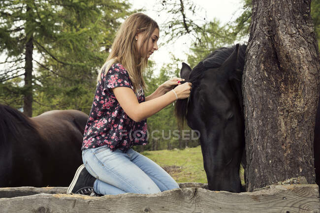 Menina ajoelhada para plait crina cavalo na floresta, Sattelbergalm, Tirol, Áustria — Fotografia de Stock
