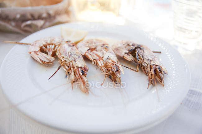 Plate of grilled king prawns, close up shot — Stock Photo