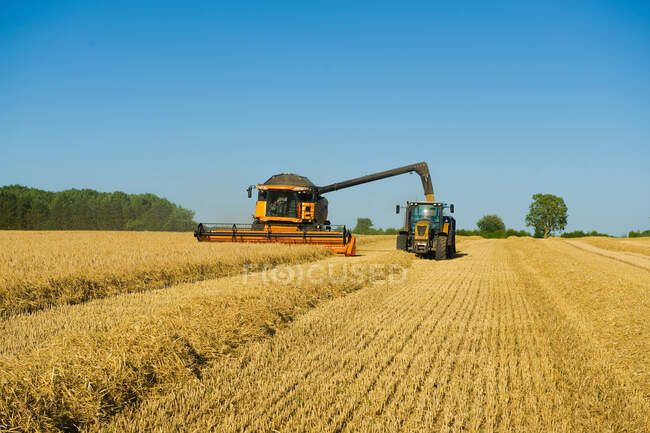 Трактор і зернозбиральне пшеничне поле — стокове фото