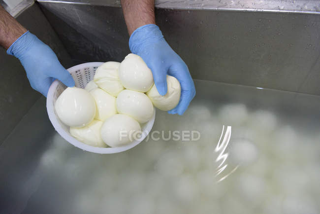 Imagen recortada del trabajador poniendo bolas de mozzarella en agua salada en la fábrica de queso - foto de stock