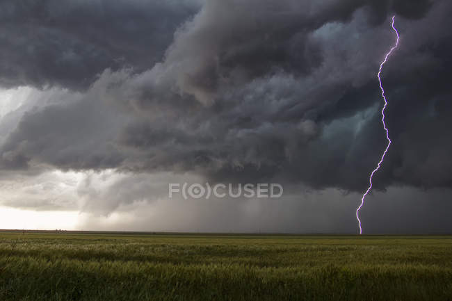 Smooth channel lightning bolt arcs to the ground through the turbulent updraft base — Stock Photo