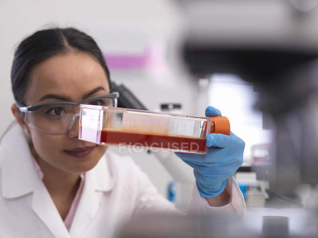 Scienziata che esamina le colture cellulari che crescono in un vaso di coltura in laboratorio — Foto stock