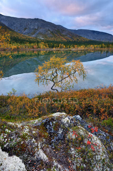 Paisaje de color otoñal en los lagos poligonales, montañas Khibiny, península de Kola, Rusia - foto de stock