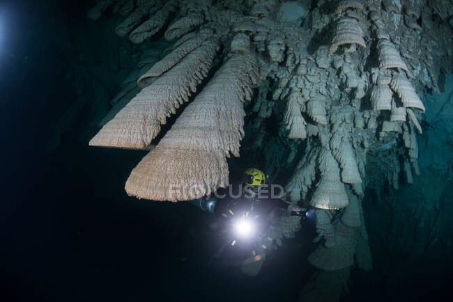 Mergulhador explorando formações naturais únicas conhecidas como 