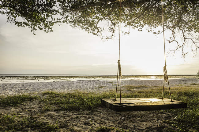Balanço de árvore de praia vazio ao pôr do sol, Gili Trawangan, Lombok, Indonésia — Fotografia de Stock