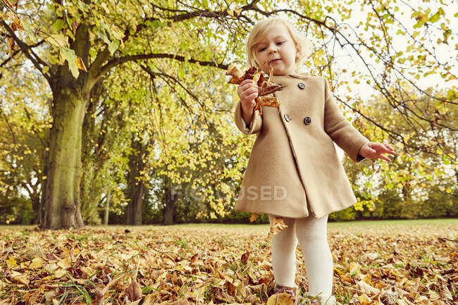 Ragazza raccogliendo foglie di autunno — Foto stock