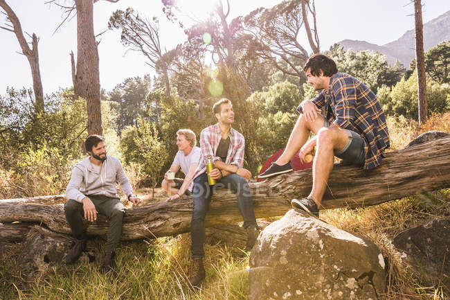 Cuatro campistas masculinos charlando en el árbol caído, Deer Park, Ciudad del Cabo, Sudáfrica - foto de stock