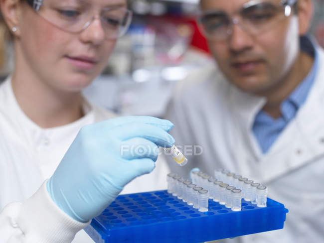 Científicos que se preparan para analizar muestras de ensayos clínicos - foto de stock