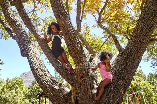 Zwei junge Schwestern klettern auf Baum — Stockfoto