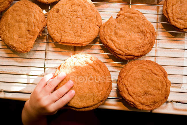 Хлопчик бере свіжоспечені cookie — стокове фото