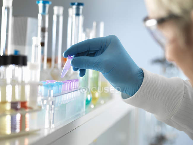 Ученый тестирует образец ДНК человека в лаборатории — стоковое фото