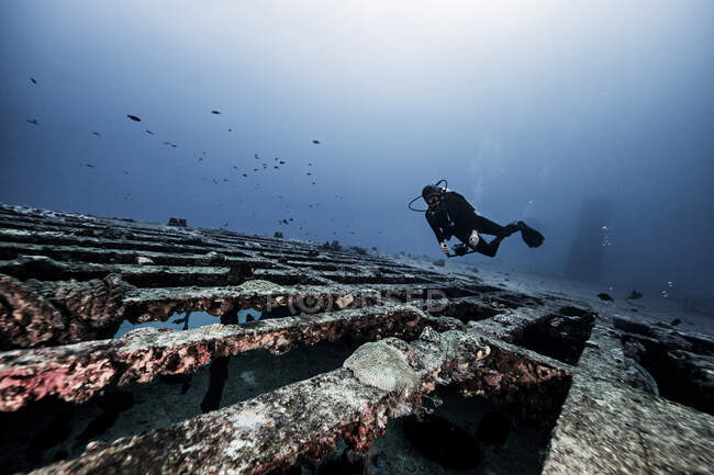 Diver exploring shipwreck, underwater view, Cancun, Mexico — Stock Photo