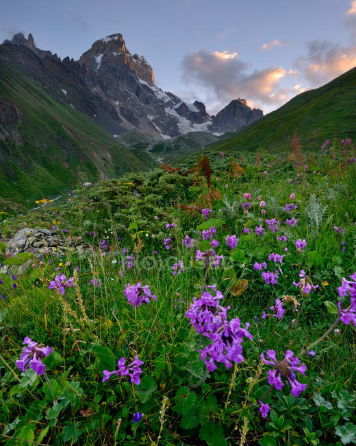Paisaje rural, Montaña Ushba de fondo, Cáucaso, Svaneti, Georgia - foto de stock