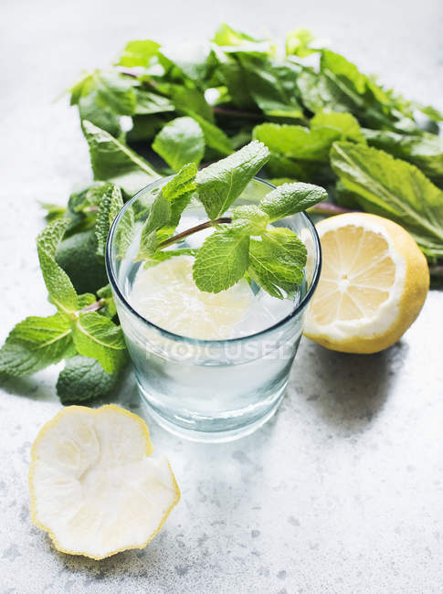 Vetro con acqua, menta e fetta di limone — Foto stock