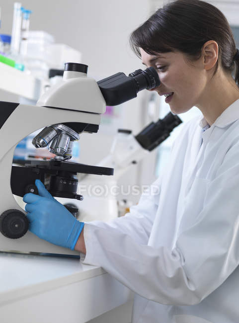 Ученый рассматривает образцы тканей человека под микроскопом в лаборатории — стоковое фото