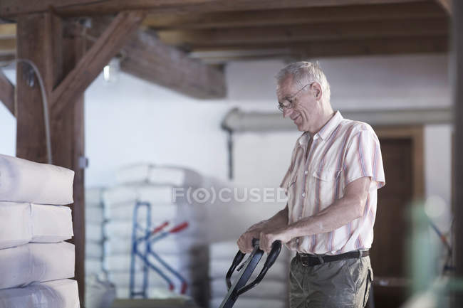 Мужчина мельник, использующий домкрат для перемещения мешков муки на пшеничной мельнице — стоковое фото