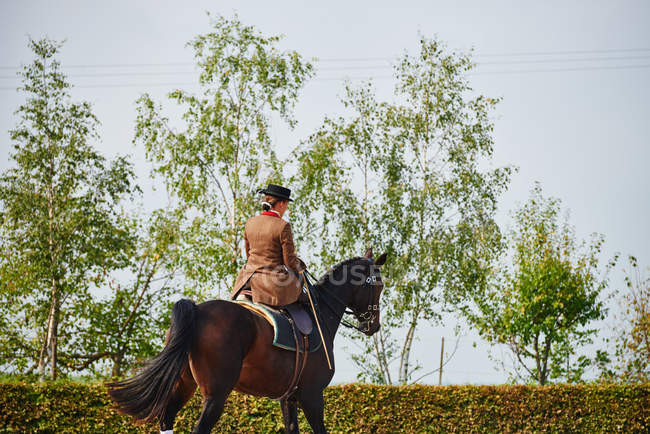 Jinete hembra trotando mientras entrena caballo doma en arena ecuestre - foto de stock