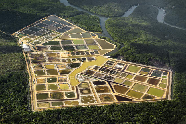 Luftaufnahme von grünen Plantagen in Singapore — Stockfoto