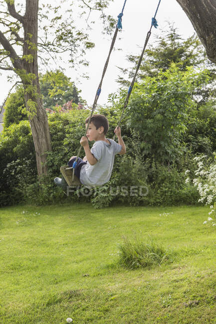 Хлопчик на дереві гойдалки — стокове фото