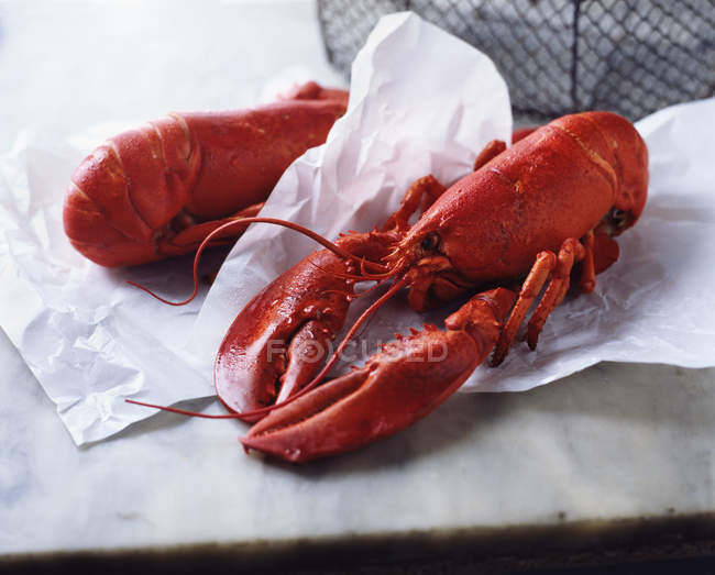 Two whole wet fresh lobsters on paper and marble — Stock Photo