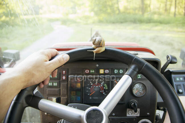 Snail on tractor steering wheel, Vogogna,Verbania, Piemonte, Italy — Stock Photo