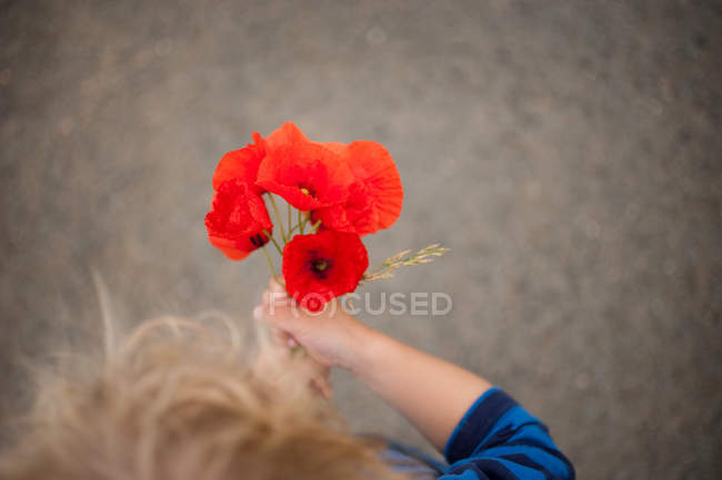 Overhead view of Boy holding poppies — Stock Photo