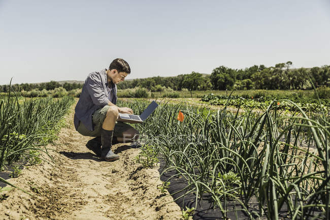 Side view of man crouching in vegetable garden using laptop computer — Stock Photo
