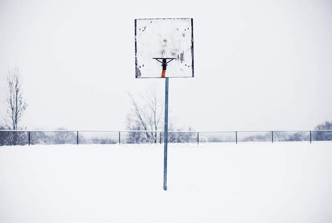 Одинокое баскетбольное кольцо на снежном поле — стоковое фото
