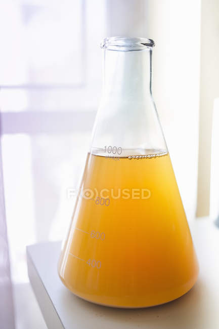 Close-up de frasco contendo levedura para cerveja caseira — Fotografia de Stock